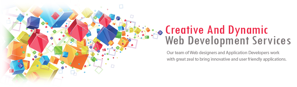 WEB DEVELOPMENT SERVICES